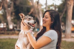 Dog friendly bars offer a unique and welcoming atmosphere where both you and your canine companion can socialize and relax.